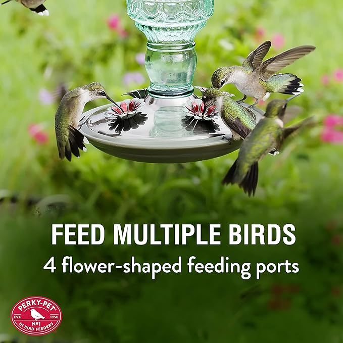 Perky-Pet Glass Bottle Hummingbird Feeder - Outdoor Garden Décor Humming Bird Feeder,8108-1SR - 10 Fl Oz Nectar Capacity - Durable Green Antique Design - Hang from Tree,Porch,Deck,Hook,(Pack of 6)