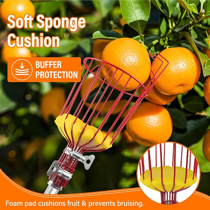 26FT Reach Fruit Picker Pole with Basket Telescoping,Apple Picker Pole with Basket,Lightweight Aluminum Pole Fruit Catcher for Trees,Orange Picker Suit for,Pear,Lemon,Mango,Guava,Avocados