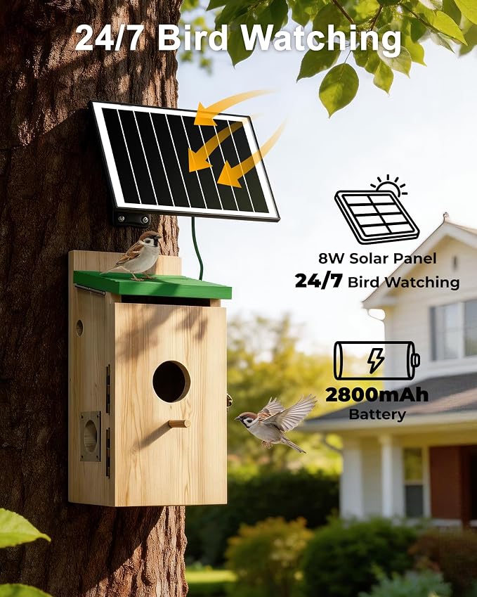Bird House with Camera Solar Powered, Wi-Fi,Motion Detection & Night Vision,Pine Wood Birdhouse with Camera Inside,Ideal for Backyard & Nature Lovers(Light Green)