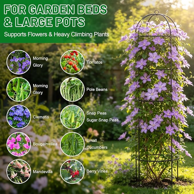 Trellis for Climbing Plants Outdoor, 2Pcs 75" Tall, 21" Dia, Heavy Duty Metal Garden Trellis Tower Potted Cages for Flowers Fruits Vegetable Cucumber Tomato Rose Clematis Pea Bean Raised Bed Trellises