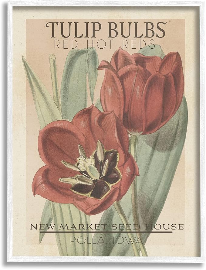 Stupell Industries Hot Red Tulip Bulbs Antique Floral Seed Packet