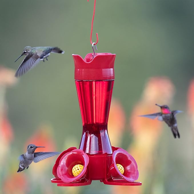 Perky-Pet Red Hummingbird Feeder - Pinch Waist Design for Easy Feeding - Humming Bird Feeder for Outdoors - 403CO - 8 oz Capacity (Pack of 6)
