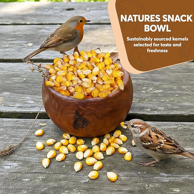 Whole Corn 10 LB– Premium Bird Seed & Wildlife Feed for Ducks, Deer, Squirrels, Chickens, and Turkeys – Whole Corn for Wild Birds – Grown in USA