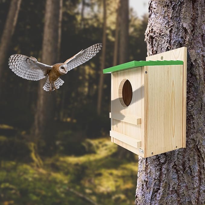 Screech Owl House, Owl Bird Box Large Handmade Wooden Circular Opening Screech Box for Outside with Mounting Screws and A Bag of Wood Shavings, Easy Assembly Required (Green, 9" x 14.5")