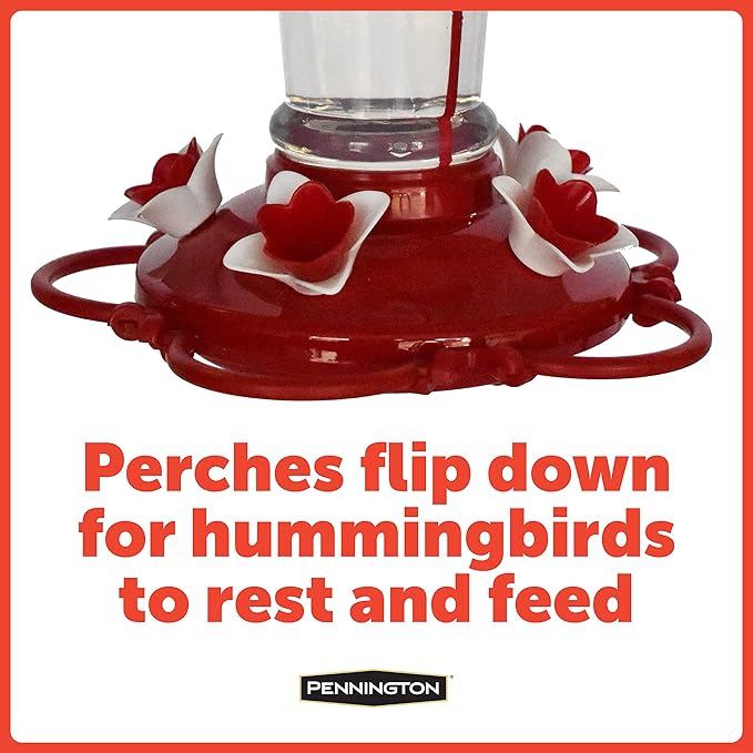 Pennington Pride Glass Hummingbird Feeder 10 Ounces