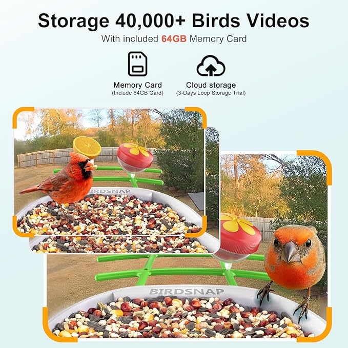 birdsnap® PAV-Bird Feeder with Camera,2K HD with 64GB Card, AI Identify Smart Bird House Cam Solar Panel,Live Stream,Motion Detection,Auto Record Video for Backyard Outdoors,Ideal Gift for Bird Lover