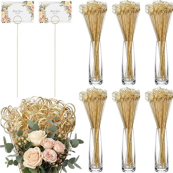 Patelai 500 Pcs 12'' Golden Ring Loop Round Shape Card Holders Floral Picks Clips for Wedding & Flower Arrangements, DIY Craft Wire Clip Table Card Holders Note Photo Picture Memo Holder Cake Topper