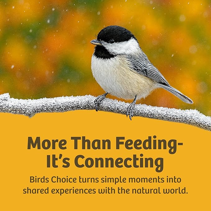 Birds Choice Clear Bird Feeder Dome | 10.5" Rain Guard Cover for Hanging Bird Feeders | Outdoor Weather Guard to Help Keep Seed Dry