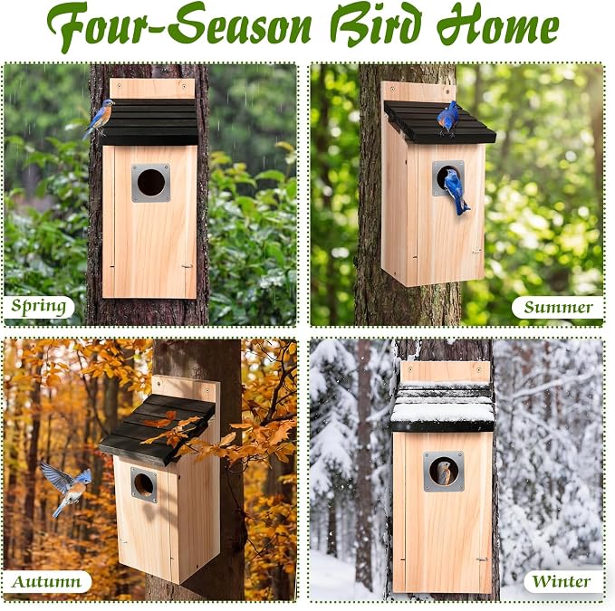 Dreyoo 8 Pack Bluebird Box Houses for Outside,1-1/2'' Entrance Hole Wooden Bird Houses with Metal Guard, Secure Latch,Fledgling Grooves,Air Vents for Bluebird Wren Swallow (Black Roof,Wood Body)