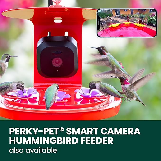 Perky-Pet Solar Powered Smart Bird Feeder with Camera - Squirrel-Resistant, 3.2L Capacity, Motion Activated 1080p HD WiFi Live Stream Camera, SPCAM, SPCAMSLR - Camera Feeder Gift Idea, Yellow