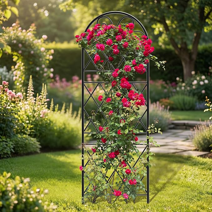Garden Trellis for Climbing Plants, 6 Pack 75.6"Wx 64.6"H Rustproof Flower Trellis with Black Coating, Outdoor Climbing Rose Trellis Cucumbers Support for Courtyards Lawns (Diamond-shaped grid, 6 Pcs)