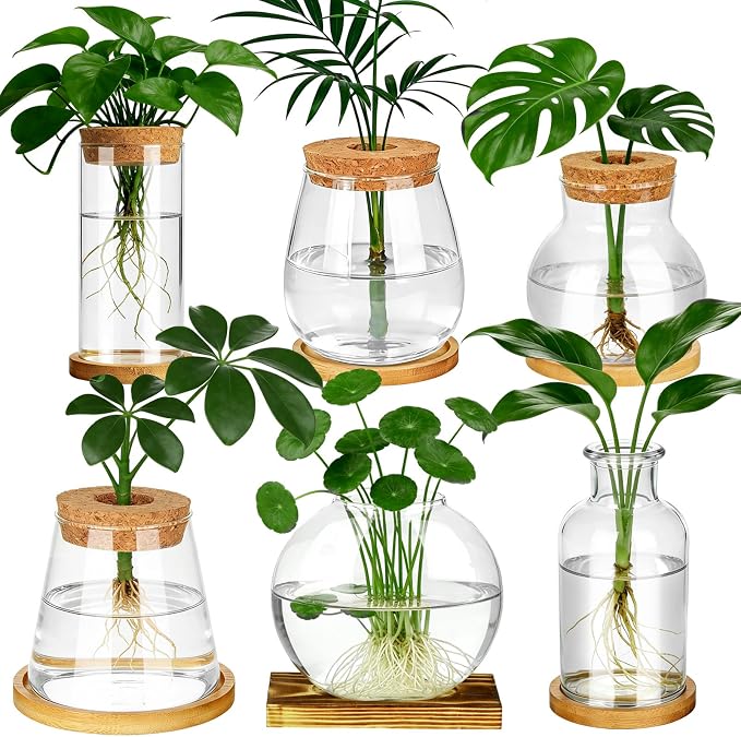 6 Pcs Plants Propagation Stations Glass Planter Terrariums with Wooden Lid and Bamboo Stand Desktop Propagation Vases Jars for Plant Growing Hydroponic Home Office Tabletop Garden Decoration