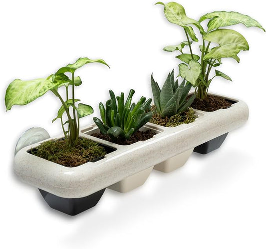 Eco-Friendly Wheat Fiber No Plastic Planter. Floating Window Shelf for Plants & Herb Garden with Removable Pots (Black & White Pots)
