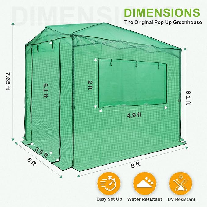 EAGLE PEAK 8x6 Portable Walk in Greenhouse, Pop Up Indoor Outdoor Greenhouse, Green House Kit with Zippered Roll-Up Doors and Windows + Mesh Lined Door, PE Cover, Clear/Green