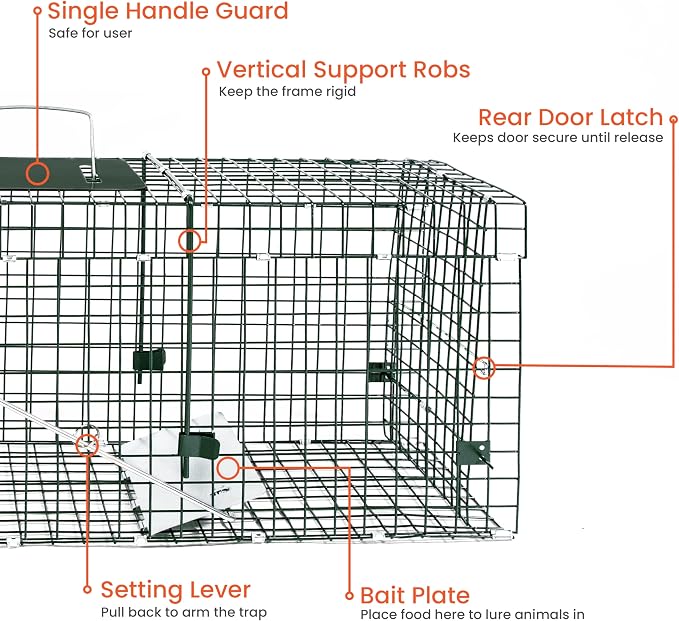 HOMESTEAD 32 Inch Heavy Duty Collapsible Live Animal Trap - Humane Catch and Release Trap for Squirrels, Stray Cats, Raccoons, Rabbits, Foldable Steel Trap, Space-Saving (32 Inch)