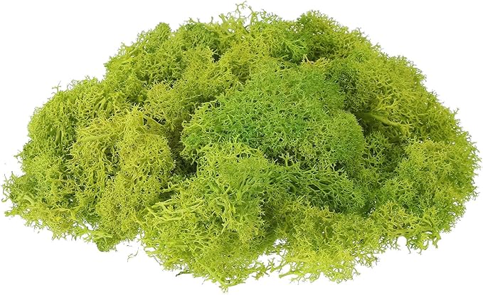 uxcell Preserved Reindeer Moss, 17.6oz Fake Moss for Crafts Artificial Dried Moss for Decoration Terrariums Potted Plants, Chartreuse