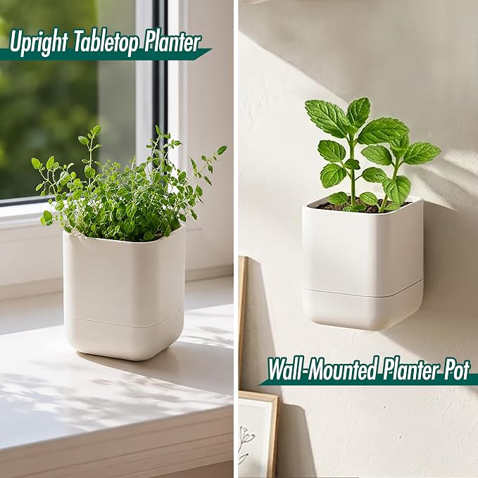 Phoenix Vine 3.5 Inch Wall Mounted Self-Watering Planter Pot for Indoor Houseplants and Herbs | Hanging Planter for Window Sills, Bathroom Walls, Home & Office Décor, Oatmeal, Set of 6, 01-A-G-6