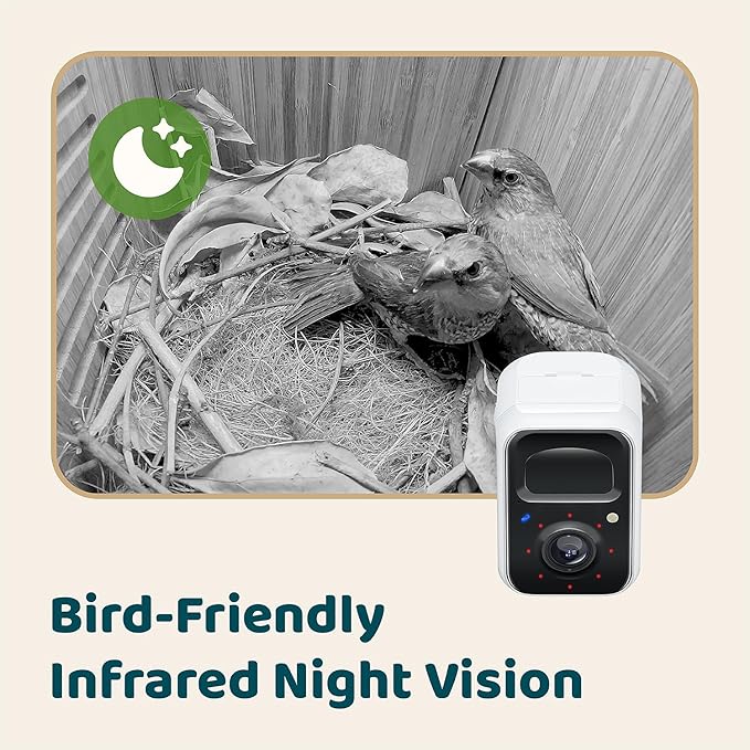 Birdfy Smart Bird House with Camera Lifetime AI Identify Auto-Record Nesting Stages & Alerts, Remote Control Night Vision Battery & Solar Outdoor-Ready, Gift for Nesting Watching Enthusiasts