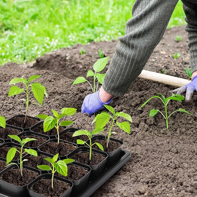 Thick Seedling Trays 3 Pics with 50 Pics Easy-to-Remove Nursery Pots, Durable Trays for Seed Starting, Propagation, and Microgreens