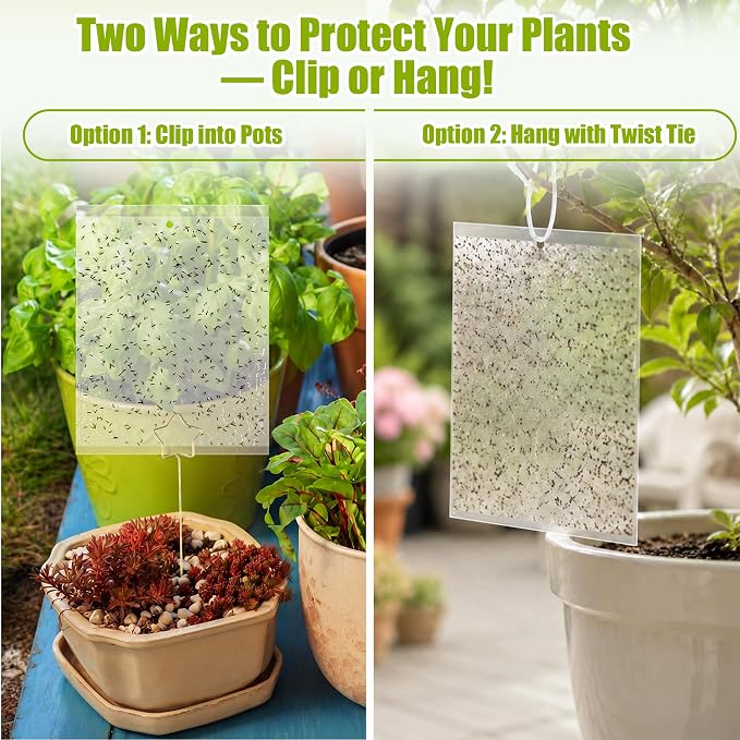 100 Pcs Gnat Sticky Traps for Plants, Transparent Double Sided Indoor Outdoor Pest Control for Fungus Gnats, Fruit Flies, Whiteflies, Aphids & Leaf Miners, Includes 10 Card Clips & 100 Twist Ties