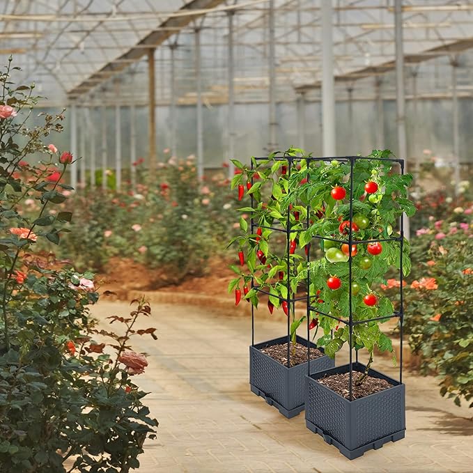 2 Pack Raised Garden Bed Planter Box with Trellis, 44" Self Watering Tomato Planter Box for Climbing Vegetable Flowers and Plants, Tomato Pot for Indoor Outdoor Patio Garden Planter Use