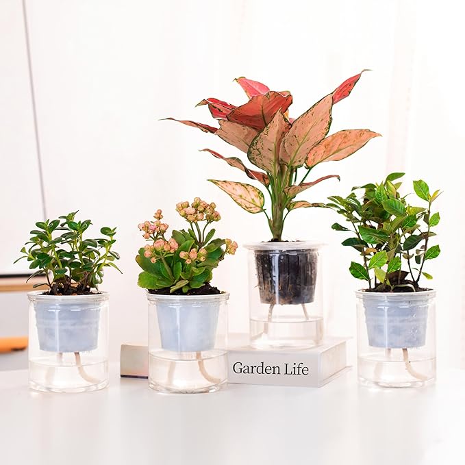 ORIMERC 300 feet 1/6 inch Self Watering Capillary Wick Cord Vacation Plant Sitter DIY Hydroponic Wicking Rope Seeds Start Planter Pot Automatic Potted Flower Passive Lazy Waterer String System Device