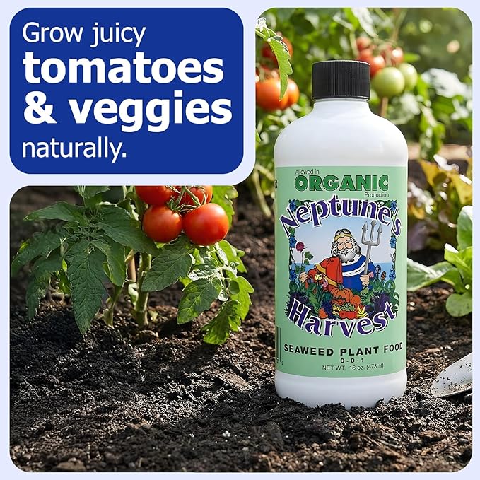 Neptune’s Harvest Seaweed Plant Food (0-0-1) - Multi-Purpose Seaweed Organic Liquid Fertilizer - Indoor & Outdoor Plant Fertilizer for Lawns, Gardens, Vegetables, & Flowers (Pint)