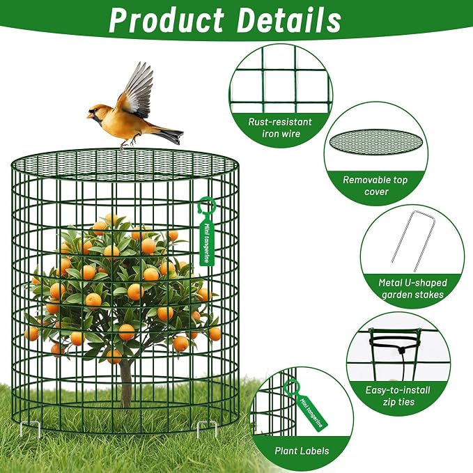 Convivium Plant Protectors from Animals 6 Packs, 13 x 12 in Metal Chicken Wire Cloche Plant Cages for Outdoor Plants, Garden Fencing Animal Barrier with Detachable Dome Lid, Stakes & Zip Ties