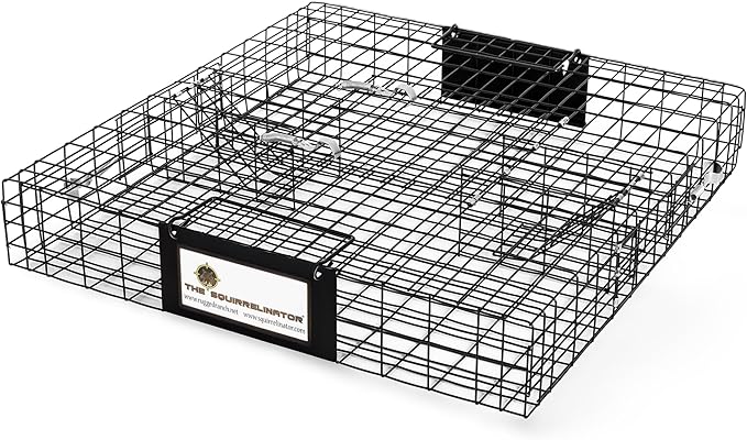 Rugged Ranch Squirrel Trap, Live Animal Catch & Release Cage, Squirrelinator, Black - Humane Indoor and Outdoor Catcher for Chipmunks and Squirrels
