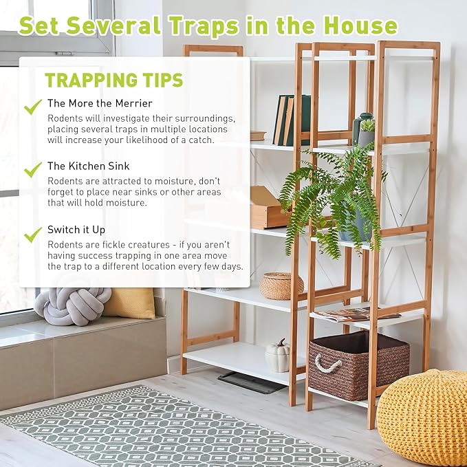 Pelrayt Glue Mouse Traps Indoor for Home, Rat Trap-12 Pack, Large Heavy Duty Glue Traps for Safe Home Pest Control. Pre-Scented, Non-Toxic Sticky Boards for Mice, Rats & More. Easy To Use