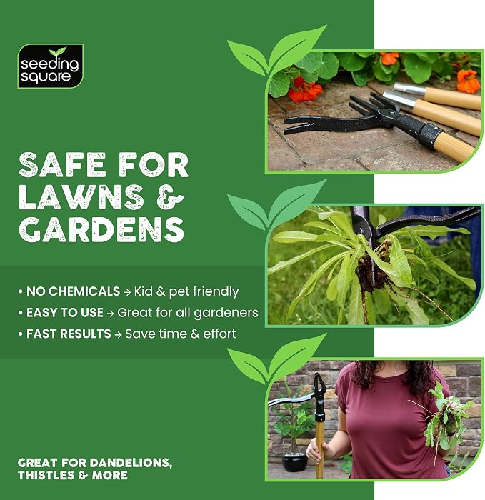 Seeding Square The Weed Gobbler Carbon Steel & Bamboo Stand-Up Weed Puller Tool for Dandelions and Single-Root Weeds – Ergonomic Lawn Weeder for Back-Friendly Weed Removal