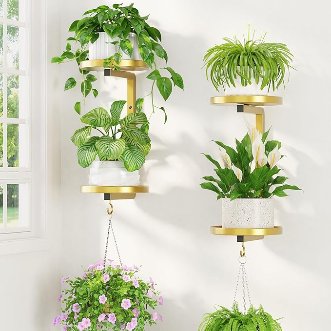 LASZOLA Plant Hangers Holder Wall Mounted Indoor, Metal 2 Tier Window Hanging Plant Shelves, 2Pcs Modern Floating Flower Display Stand with 2 Hooks for Outdoor Kitchen Bathroom Decor, Warm Gold