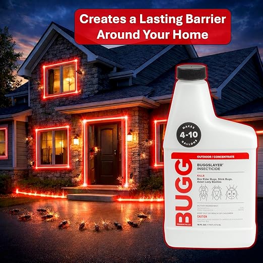 BUGGSLAYER Insecticide - Concentrate - Outdoor Box Elder Bugs, Stink Bugs, Asian Lady Beetles - 16 oz Bottle