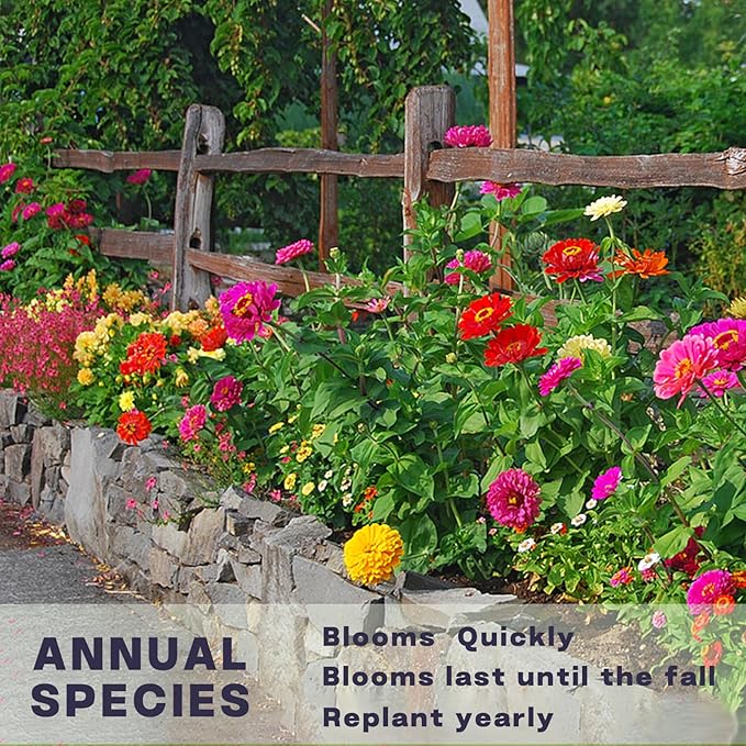 Zinnia Seeds Bulk 15,000+ | Outdoor Flower for Planting |Giant Zinnia Seeds for 2026 Bulk| Mixed Colors & Large Blooms for Gardens| High Germination, Beginner-Friendly