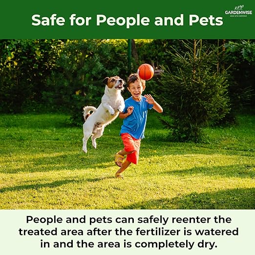Gardenwise 13-13-13 Slow Release Granular Fertilizer – All Purpose Plant Food 13 13 13 for Outdoor Grass, Vegetables, Roses, Flowers, Shrubs, Trees. Lawns, Gardens, Potted Plants (1/2 Quart)