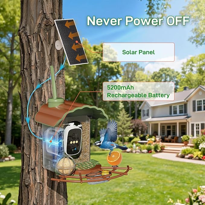 Smart Bird Feeder with Camera: Hummingbird Feeder with Solar Powered for Outdoors, Bird House with 2K HD Video & AI Bird Species Identification, Arrival Alerts, Gift for BirdLovers - Green