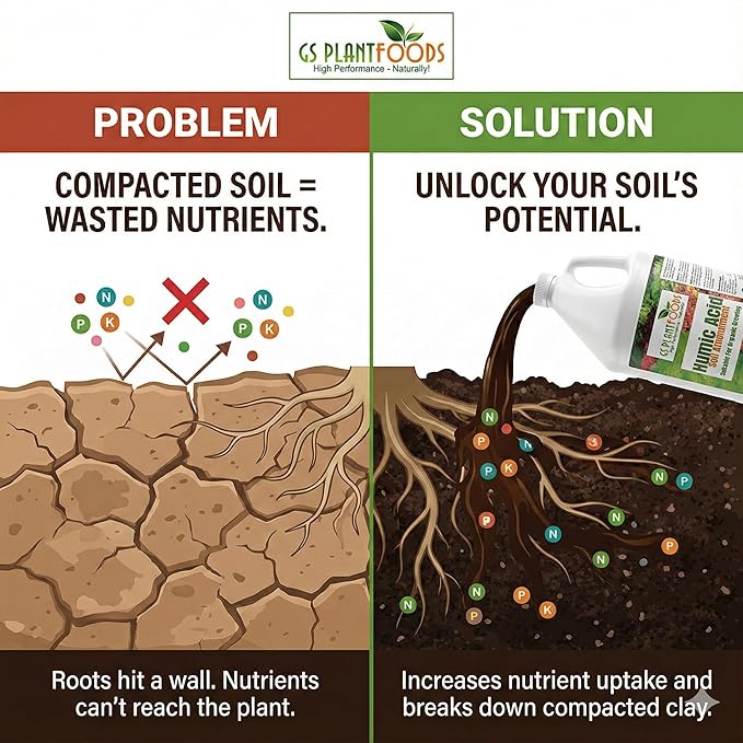 GS Plant Foods Humic Acid Soil Amendment – Leonardite-Derived Liquid Concentrate for Improved Soil Structure & Nutrient Availability – OMRI Listed for Organic Use – 32 Oz