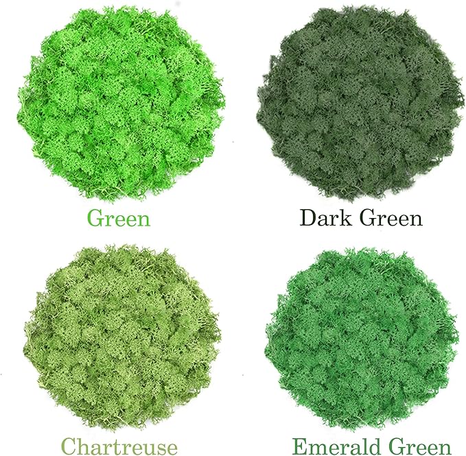 Preserved Reindeer Moss 14 OZ 4 Colors for DIY Gift, Potted Plants,Craft Decor,Wall Art,Festive Home Decorative Christmas(Green, Dark Green, Chartreuse and Emerald Green, Each Color 3.5 OZ)