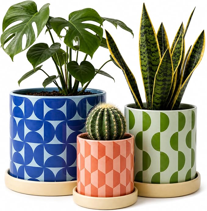 Original Earthlings Ceramic Plant Pots - Flower Pots with Drainage Hole & Saucer, Handmade Flower Vase, Colorful Decorative Planters for Indoor Plants, Succulent, Home Decor - Set of 3 (5", 4", 3.5")
