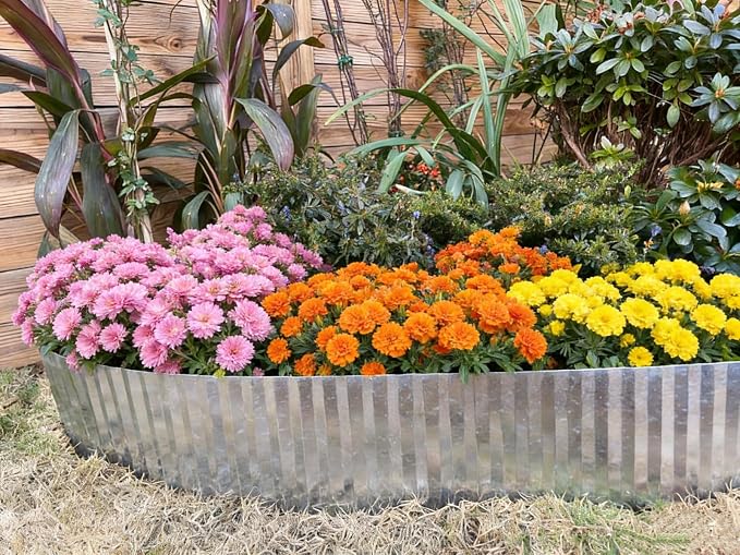 A ANLEOLIFE 60FT Galvanized Steel Landscape Edging Roll, 4" Tall Sturdy Flexible Corrugated Metal Lawn Border for Garden, Pathway & Flower Beds, Silver