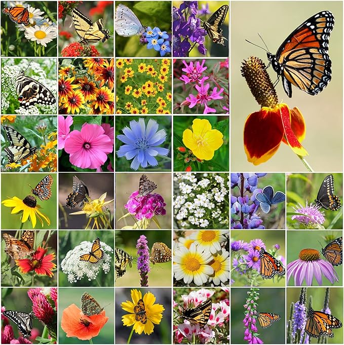 Perennial Wildflower Seeds Package with 31 Different Varieties 100,000+ Seeds, Hummingbird and Butterfly Garden Seeds, Popular Perennial Flower Seeds, Non-GMO Wildflower Seeds Mix for Your Garden