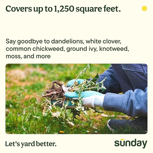 Sunday Weed & Green - Weed & Green for Lawns - Pre-Emergent & Post-Emergent Weed Killer Spray - Includes Hose-End Sprayer - for Crabgrass, Broadleaf Weeds & Lawn Diseases - Covers 1,250 sq ft - 32 oz
