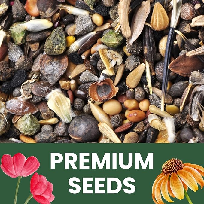 Zinnia California Giants - Bulk 1/4 Pound Pouch - 12,000 Flower Seeds for Planting - Zinnia elegans