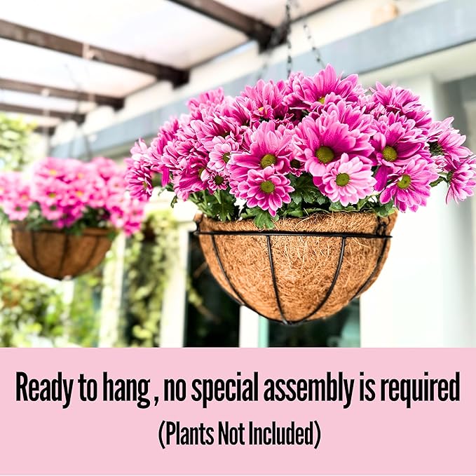 LaLaGreen Hanging Baskets for Outdoor Plants(6 Pack, 14 Inch) Large Hanging Planter with Coco Liner Round Flower Pots, Black Metal Wire Plant Holder Hook Hanger Deck Porch Modern Garden Balcony Decor