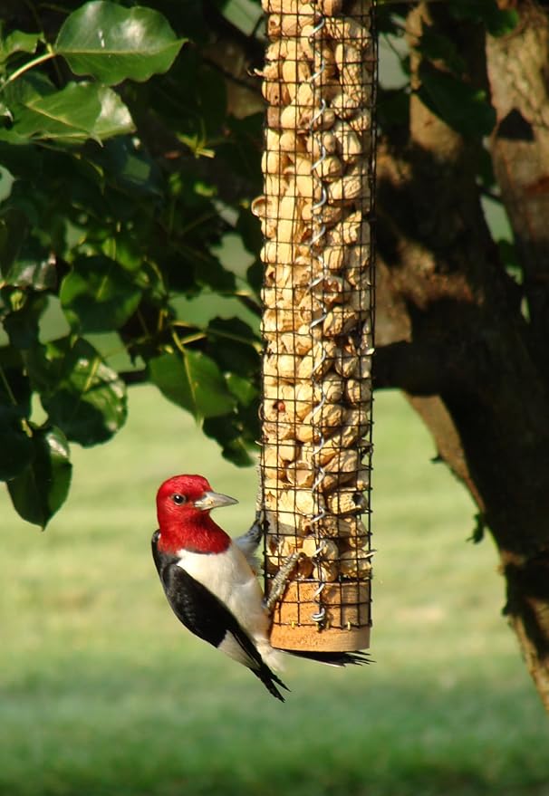 Backyard Birds Unlimited Cedar Whole in-Shell Peanut Outdoor Hanging Wild Bird Feeder Made in the USA-Small 21" Inch