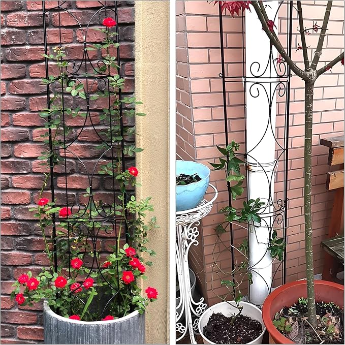 Thealyn Garden Trellis 2 Pack 72'' H x 12'' W Metal Plant Trellis Indoor/Outdoor Metal Garden Trellis Plant Trellis for Potted Plants Climbing Houseplants Flowers