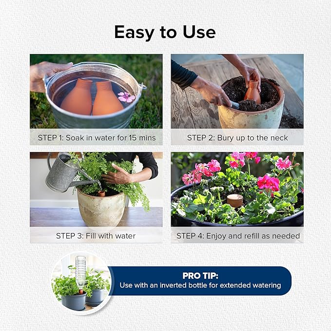 The Olla Company Classic Olla Watering Pot with Lid - Terracotta Self Watering Irrigation up to 1 ft in Diameter for Gardens, Raised Beds, and Small Pots - Vacation Friendly - Mini - Set of 2