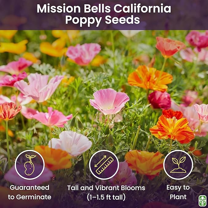 California Poppy Seeds for Planting - 3,200 Fresh Seeds - Mission Bells Mix - California Wildflower Seeds - Pet Friendly - Grown in The USA