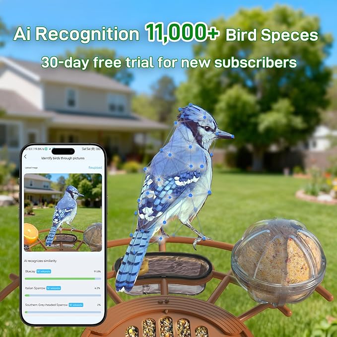 Smart Bird Feeder with Camera: Hummingbird Feeder with Solar Powered for Outdoors, Bird House with 2K HD Video & AI Bird Species Identification, Arrival Alerts, Gift for BirdLovers - Green