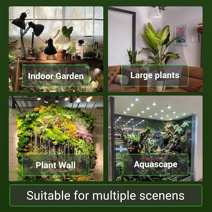 RDJ Bouns Dimmable Led Grow Light Bulb with Remote & Timer, 26W Full Spectrum Plant Bulb for Indoor Plants, Auto On/Off 4/8/12H, Natural White PAR38 Grow Lamp for Succulents, Seeds, E26 Base
